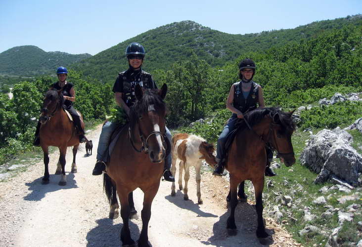 Kroatien-2011-065.jpg - auf die Pferde