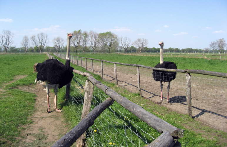 Osterausfahrt-2011-29.jpg - links Holger, rechts Erich