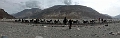 Ladakh-2013-24