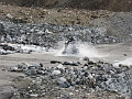 Ladakh-2013-36