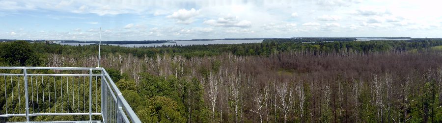 Polen-2015-68.jpg - die Aussicht über den Mauersee und den Masurischen Kanal entschädigt