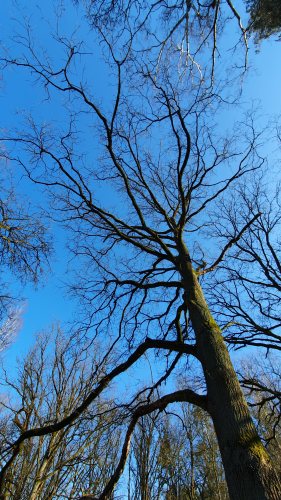 Ausfahrt zum Lilienthaldenkmal-20.jpg