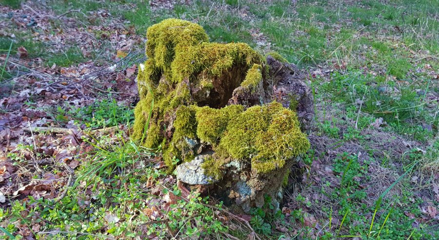 Ausfahrt zum Lilienthaldenkmal-21.jpg