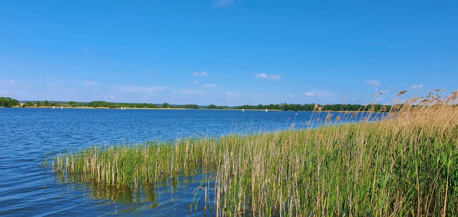 Ausfahrt im Mai zur Kueste-16.jpg