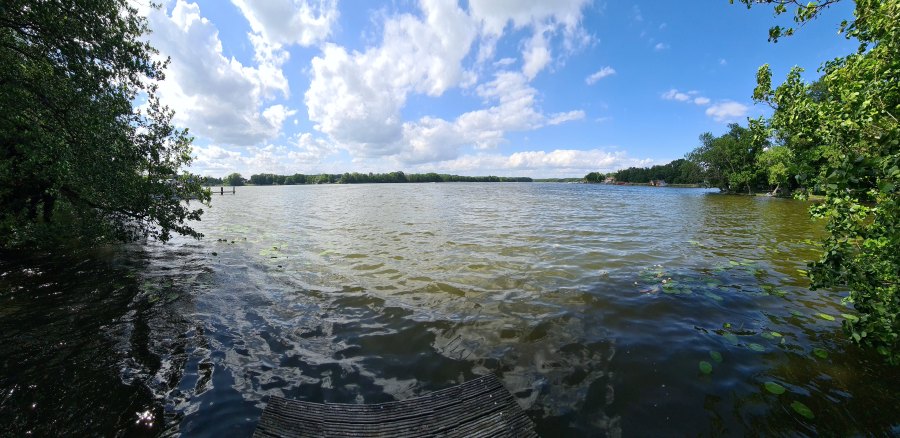 Woblitzsee im Juni-15.jpg