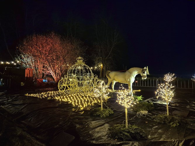Parkweihnacht-16.jpg