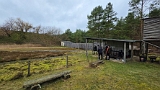 Tontaubenschießen in Gardelegen-08